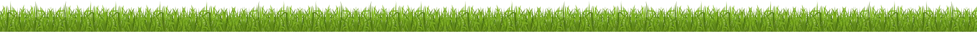 深度解析，洞悉赛事全局 - 美加墨世界杯